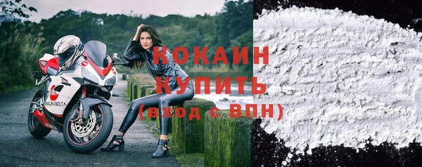 тгк Горно-Алтайск