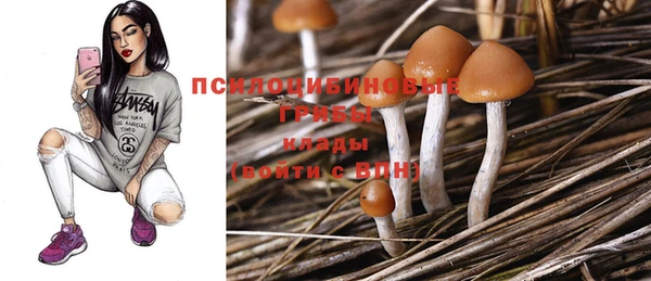 MDMA Premium VHQ Гусев