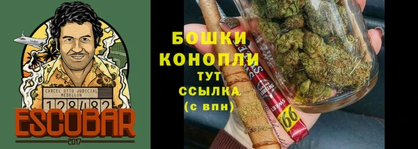 тгк Горно-Алтайск