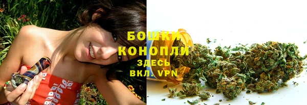 крисы Гусь-Хрустальный